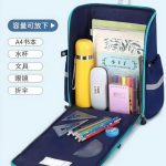 فضای داخلی کوله صندوقی پسرانه