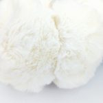 گوشگیر پشمالو